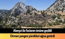 Son Dakika! Alanya'da orman yangını