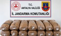 Alanya’da jandarmadan kaçak tütün operasyonu
