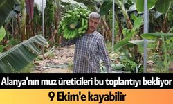 Alanya'nın muz üreticileri bu toplantıyı bekliyor