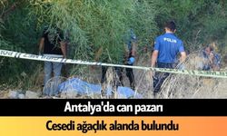 Antalya'da can pazarı: Cesedi ağaçlık alanda bulundu