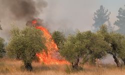 Balıkesir Karesi’de orman yangını başladı