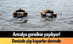 Antalya geneline yayılıyor! Denizde çöp kaparlar devrede
