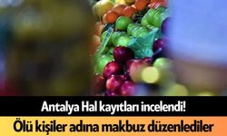 Antalya Hal kayıtları incelendi! Ölü kişiler adına makbuz düzenlediler