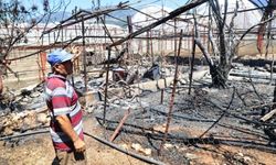 Antalya Kaş'ta yangın sonrası yaraları saracaklar