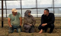Antalya Milletvekili Kaya seralarda üreticinin sesi oldu
