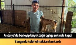 Antalya'da can dostunu sırtında taşıdı: Yangında telef olacaktı