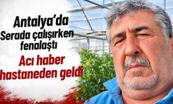 Antalya'da serada çalışırken fenalaştı! Acı haber hastaneden geldi