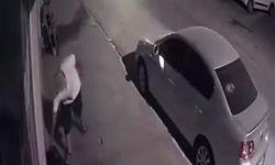 Antalya'da unuttuğu çanta 15 dakikada kayboldu