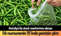 Antalya’da zincir marketten alınan 56 numunenin 15’inde pestisit çıktı