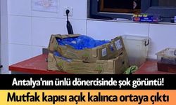 Antalya'nın ünlü dönercisinde şok görüntü! Mutfak kapısı açık kalınca ortaya çıktı