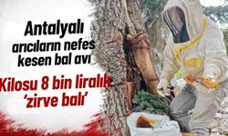 Antalya'da kilosu 8 bin liralık ‘zirve balı’