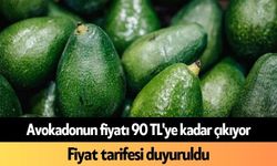 Avokadonun fiyatı 90 TL'ye kadar çıkıyor