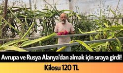 Avrupa ve Rusya Alanya'dan almak için sıraya girdi