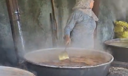 Geleneksel keçiboynuzu pekmezi mesaisi başladı
