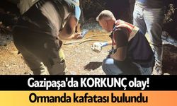 Gazipaşa'da KORKUNÇ olay! Ormanda kafatası bulundu