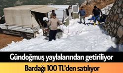 Gündoğmuş yaylalarından getiriliyor: Bardağı 100 TL'den satılıyor