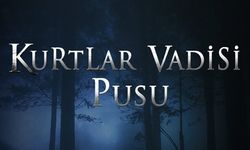 Kurtlar Vadisi Pusu’nun o sahneleri incelemeye alındı