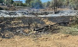 Manavgat’ta yangın zeytin ağaçlarına sıçradı