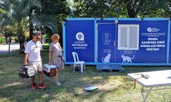 Antalya'da ücretsiz kısırlaştırma yapılıyor