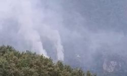 Son Dakika! Hatay'da orman yangını çıktı!