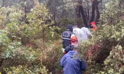 Bursa Atatürk Kent Ormanı’nda uzuvları parçalanmış c*set bulundu