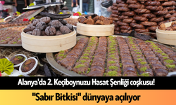 Alanya'da 2. Keçiboynuzu Hasat Şenliği coşkusu! "Sabır Bitkisi" dünyaya açılıyor