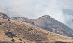Son dakika! Tunceli'de orman yangını: Müdahale zorlaşıyor