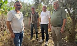 Üreticilerin mağduriyetine ziraat odasından müdahale