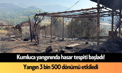 Kumluca yangınında hasar tespiti başladı! Yangın 3 bin 500 dönümü etkiledi