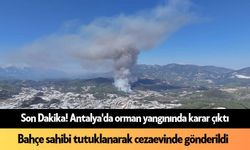 Son Dakika! Antalya'da orman yangını şüphelisi tutuklandı