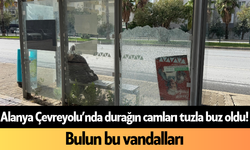 Alanya Çevreyolu’nda durağın camları tuzla buz oldu! Bulun bu vandalları