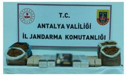 Alanya dahil Antalya'nın 4 ilçesinde büyük operasyon