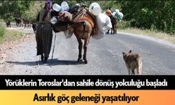 Alanya'da yörüklerin Toroslar'dan sahile dönüş yolculuğu başladı