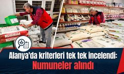 Alanya'da kriterleri tek tek incelendi: Numuneler alındı