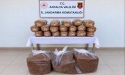 Alanya'da yüzlerce kiloluk kaçak zehir sevkiyatı çökertildi