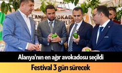 Alanya'nın en ağır avokadosu seçildi