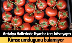 Antalya Hallerinde fiyatlar ters köşe yaptı