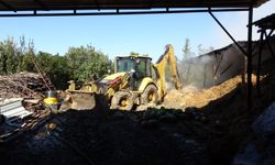 Antalya'da ahır yangını: 5 hayvan telef oldu