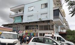 Antalya'da evinde ölü bulunan kadının 18 kedisi korumasız kalmadı