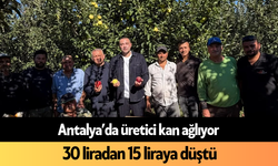 Antalya’da üretici kan ağlıyor: 30 liradan 15 liraya düştü