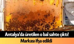 Antalya'da üretilen o bal sahte çıktı! Markası ifşa edildi