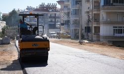 Payallar Mahallesi'nde ulaşım ağı güçleniyor! Asfalt çalışması yapıldı