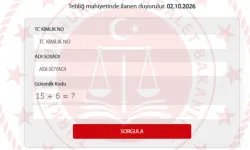 Bilirkişilik sonuçları açıklandı: Nasıl sorgulanır?