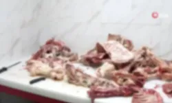 İstanbul Gaziosmanpaşa’da şok! Bu etleri satacaklardı