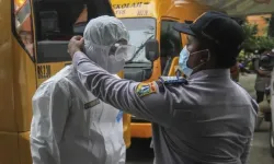 Shamonda virüsü nedir, insanlara nasıl bulaşıyor?