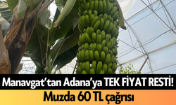 Manavgat’tan Adana’ya TEK FİYAT RESTİ! Alanya'dan muzda 60 TL çağrısı