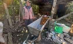 Toroslar’da 100 yıllık dede yadigarı tekneyle pekmez mesaisi