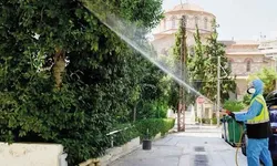 Türkiye'nin yanıbaşında bu virüsten 51 kişi öldü