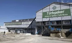TÜRKŞEKER kura sonuçları ne zaman açıklanacak? 2026 isim listesi sorgulama ekranı