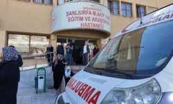 Şanlıurfa’da yaprak sarması incelemesi